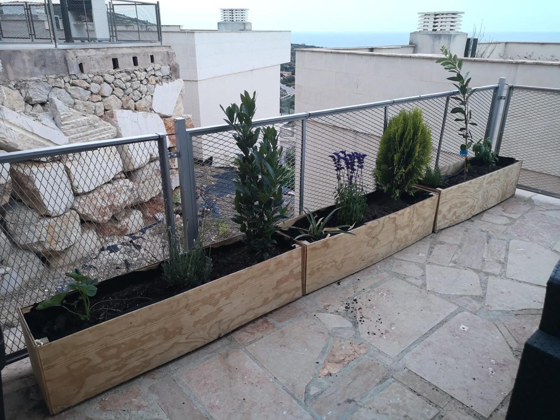 La Casa Del Mirlo Azul - Peniscola Apartment Ngoại thất bức ảnh